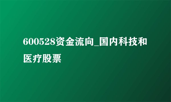 600528资金流向_国内科技和医疗股票