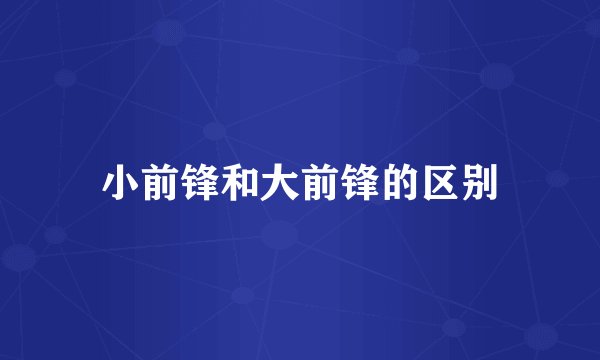 小前锋和大前锋的区别