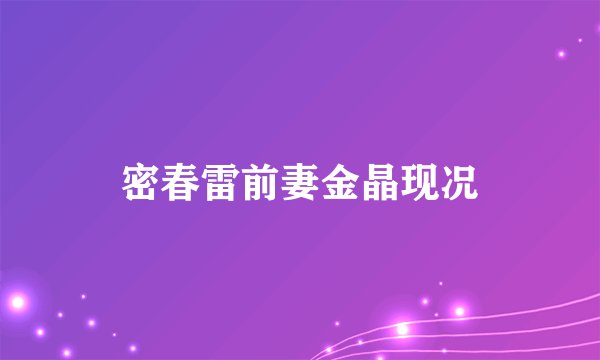 密春雷前妻金晶现况