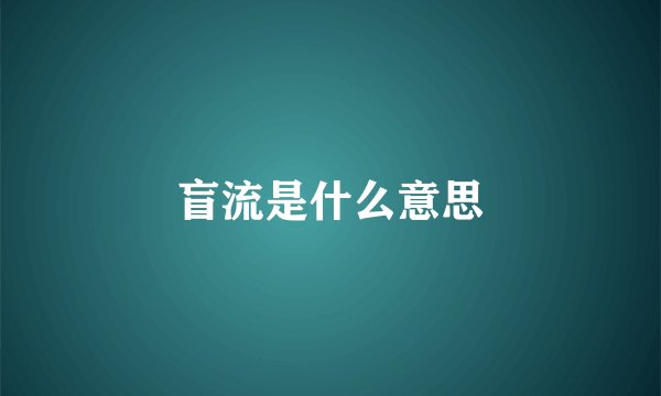 盲流是什么意思