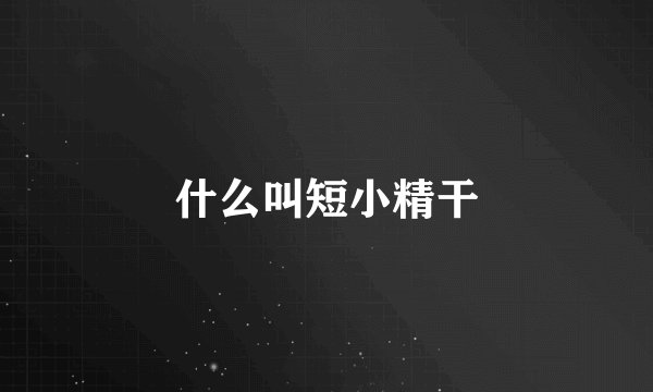 什么叫短小精干