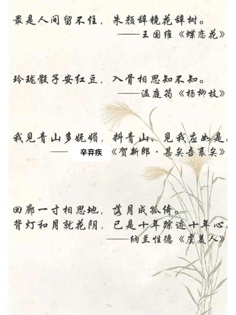 人间绝句:沉醉其中