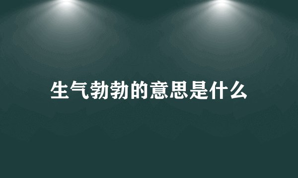 生气勃勃的意思是什么