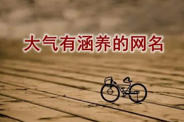 淡定女人大气的昵称