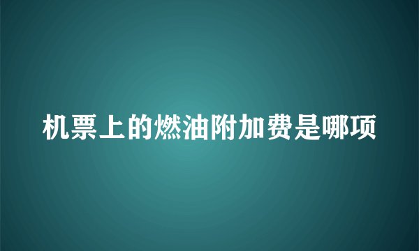 机票上的燃油附加费是哪项
