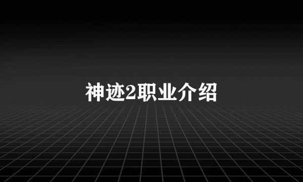 神迹2职业介绍