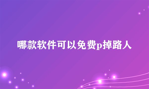 哪款软件可以免费p掉路人