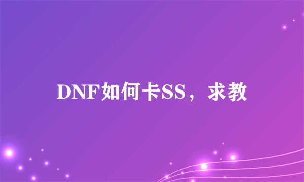 DNF如何卡SS，求教