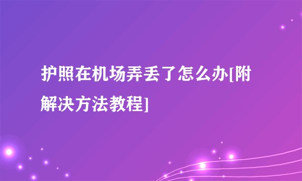 护照在机场弄丢了怎么办[附解决方法教程]