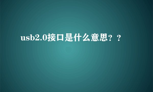 usb2.0接口是什么意思？？