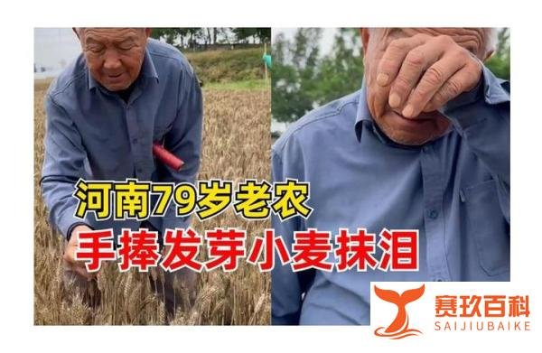 79岁农民手捧发芽小麦抹泪，网友泪目，为何21世纪还看天吃饭